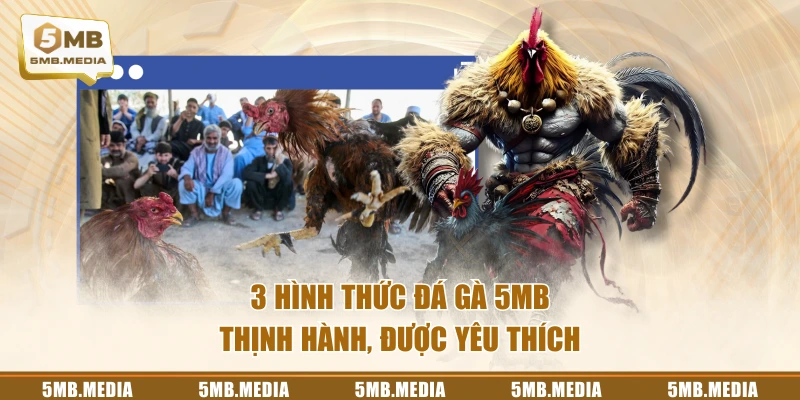 3 hình thức Đá Gà 5MB thịnh hành, được yêu thích