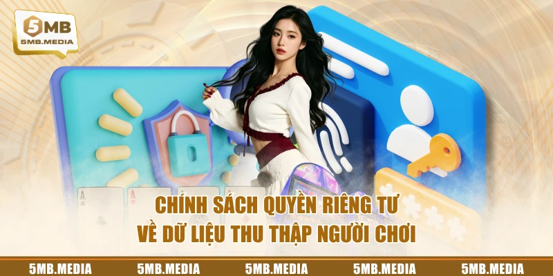Chính sách quyền riêng tư về dữ liệu thu thập người chơi