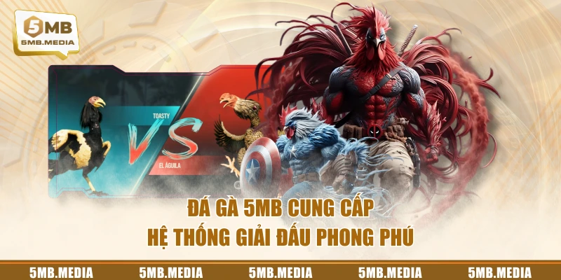 Đá Gà 5MB cung cấp hệ thống giải đấu phong phú