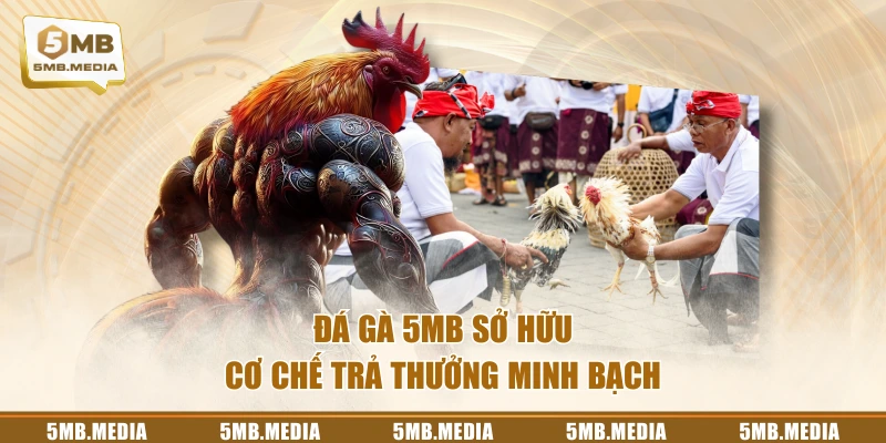 Đá Gà 5MB sở hữu cơ chế trả thưởng minh bạch