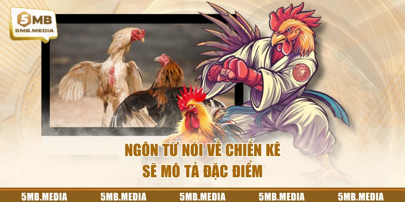 Ngôn từ nói về chiến kê sẽ mô tả đặc điểm
