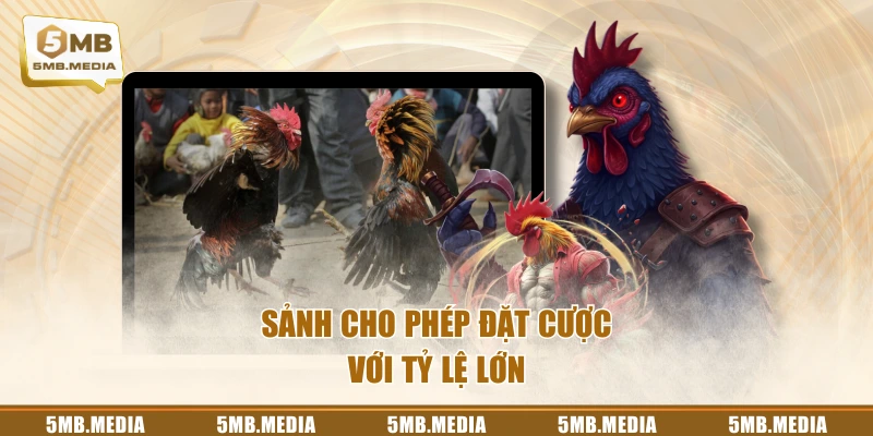 Sảnh cho phép đặt cược với tỷ lệ lớn