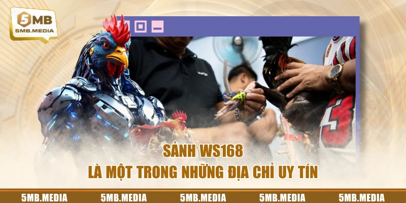 Sảnh WS168 là một trong những địa chỉ uy tín