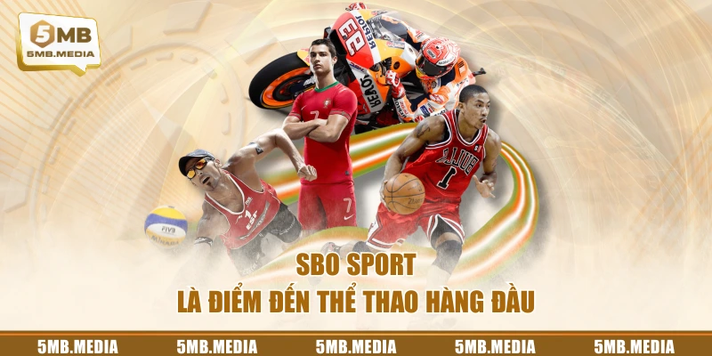 SBO Sport là điểm đến thể thao hàng đầu