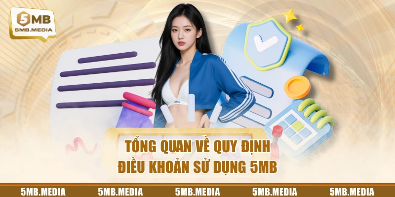 Tổng quan về quy định điều khoản sử dụng 5MB
