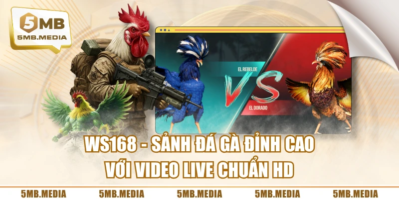 WS168 - Sảnh Đá Gà Đỉnh Cao Với Video Live Chuẩn HD